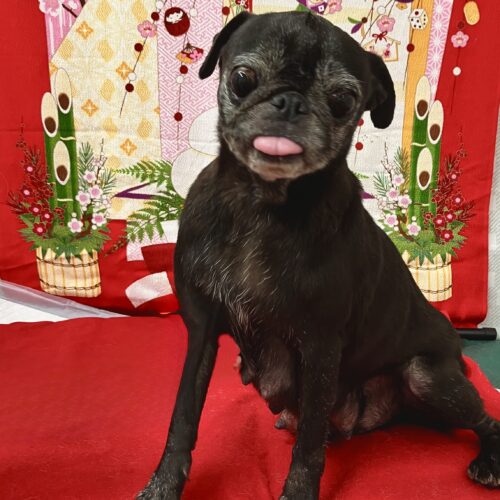 あずき