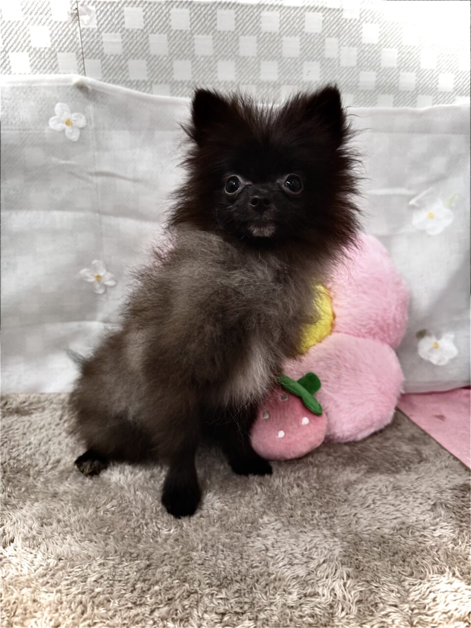 ☆お値下げ中☆
