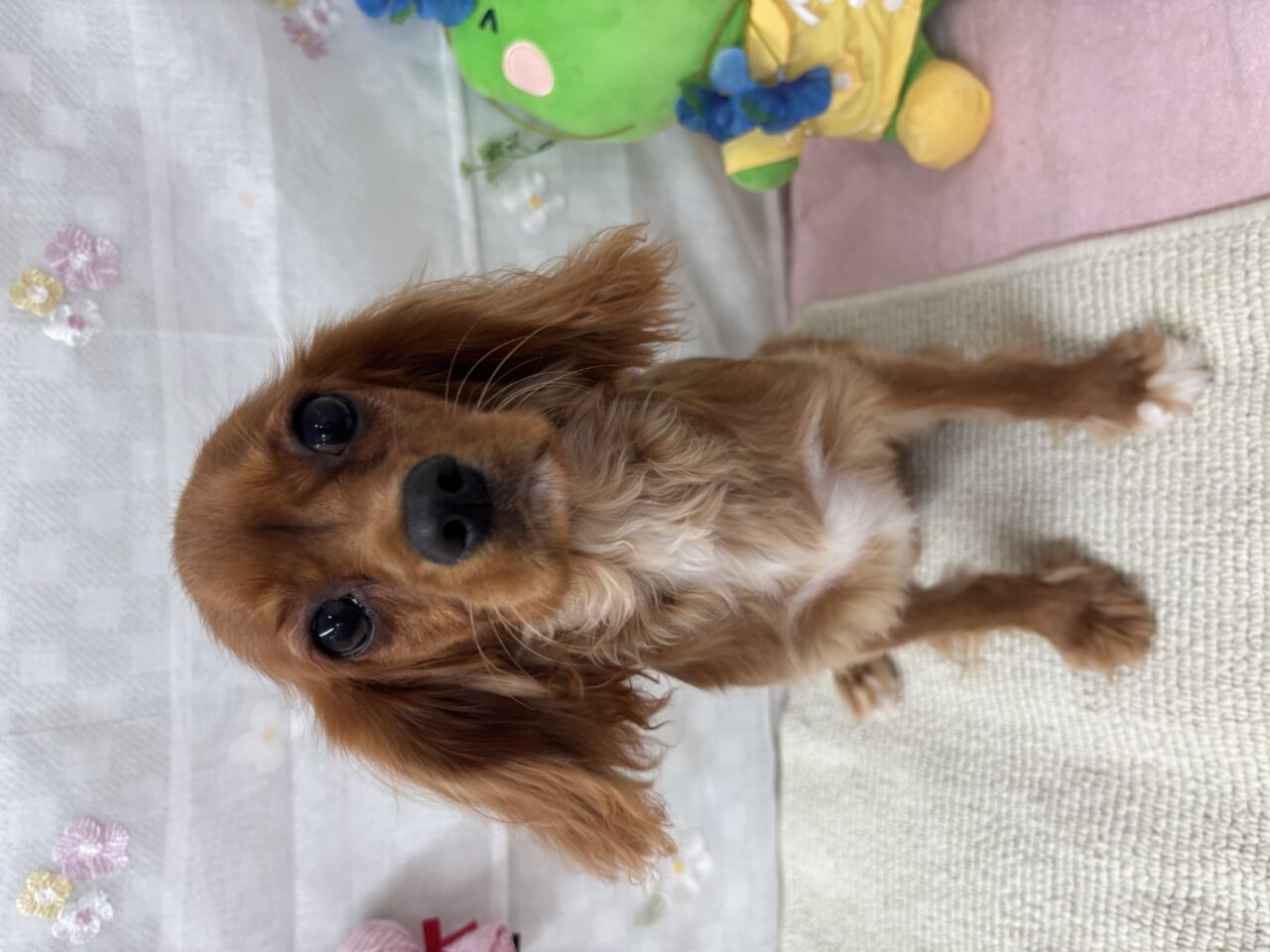 ☆お値下げ中☆